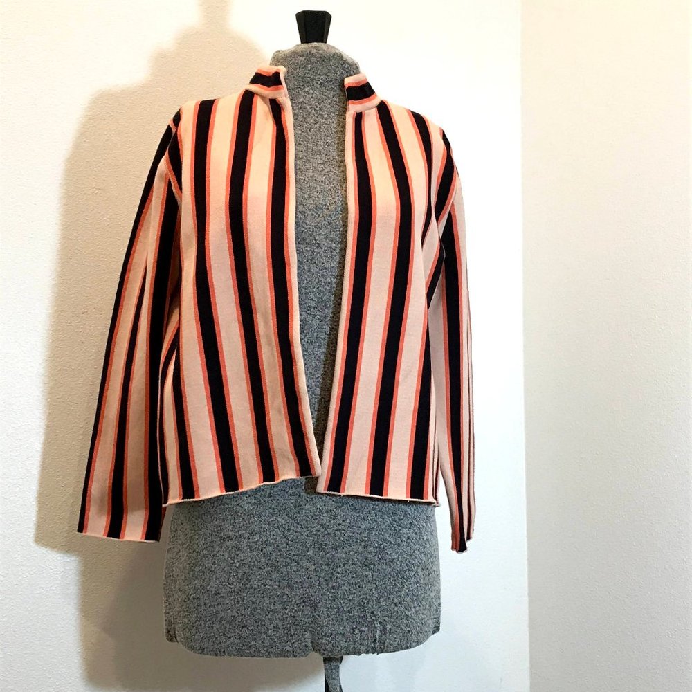 Ann Taylor | Pink Jacket with Black Stripes